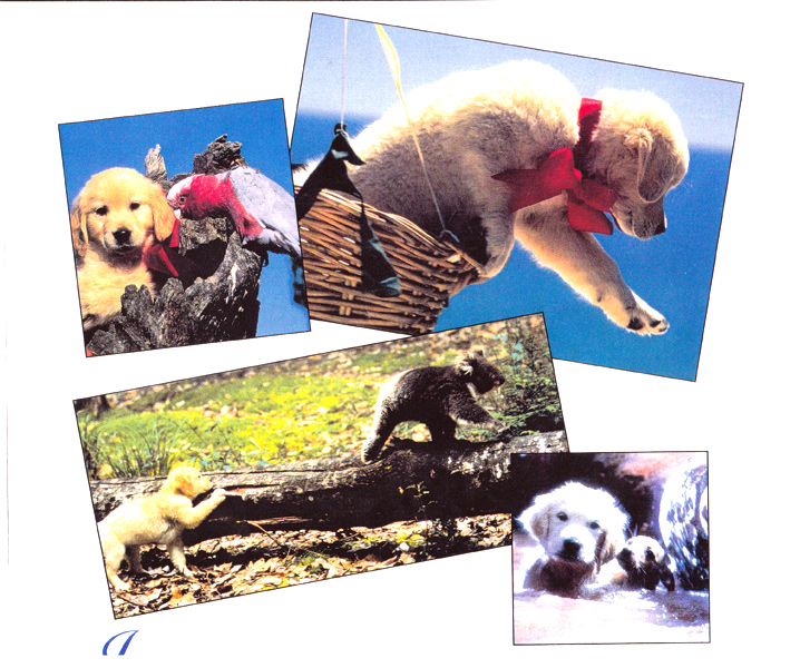 クルタ夢大陸の子犬1995年